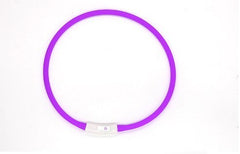 LED Fashion Dog Collar