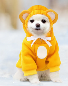 Adorable Pet Hoodies